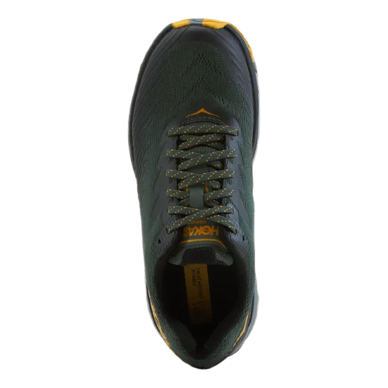 M Torrent 2 Thyme / Golden Yellow