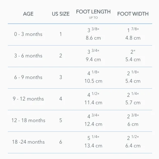 Silver Aria First Kicks
